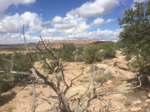 187 S Bridger Jack Trail #11, Moab, UT 84532 - #1