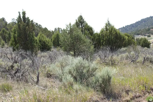 #21 B, Fairview, UT 84629 - #1