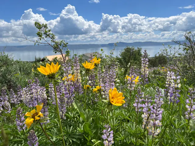 12 Aspen Pl #470-71, Fish Haven, ID 83287 - #3