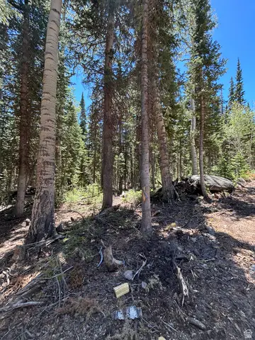 713 S Paintbrush St, Brian Head, UT 84719 - #1