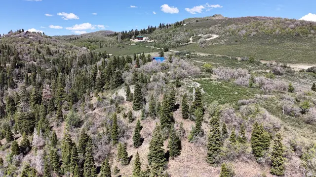 22045 N 143779 E #123, Fairview, UT 84629 - #2