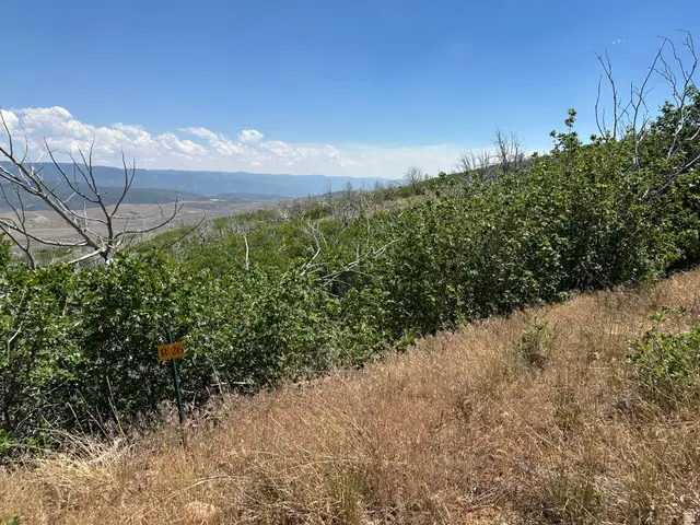 26 Indian Ridge Dr N #R26, Indianola, UT 84629 - #2