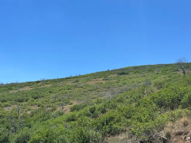 26 Indian Ridge Dr N #R26, Indianola, UT 84629 - #3