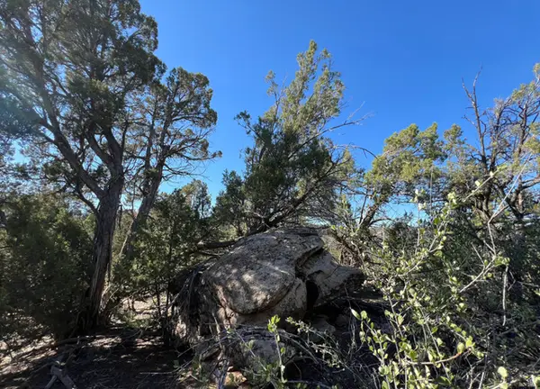 Address Withheld By Seller, La Sal, UT 84530