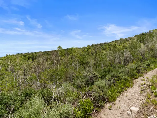 4891 S Woodland Way, Kamas, UT 84036 - #1