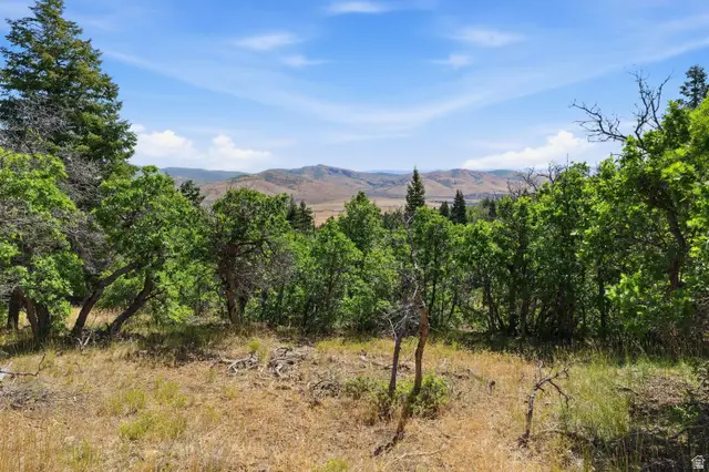 #8, Fountain Green, UT 84632 - #3