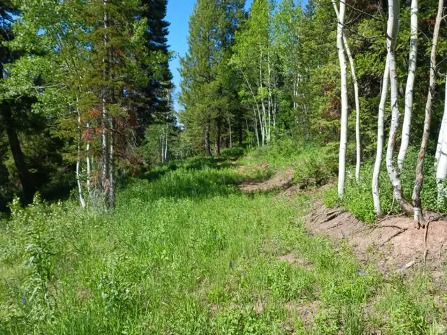 Baxter Sawmill Rd E, Hyrum, UT 84319 - #1