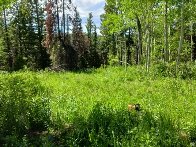 Baxter Sawmill Rd E, Hyrum, UT 84319 - #3