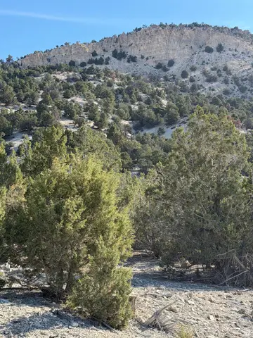 Address Withheld By Seller, Salina, UT 84654 - #2