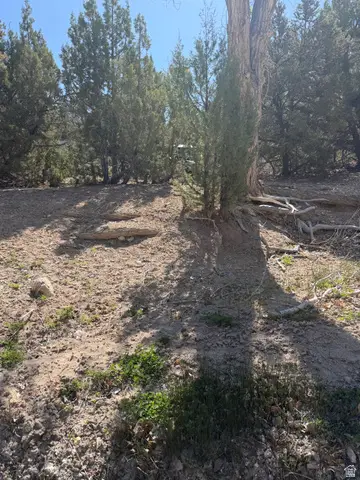 Address Withheld By Seller, Salina, UT 84654 - #1