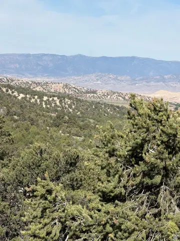 Address Withheld By Seller, Salina, UT 84654 - #3