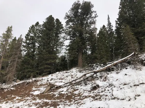 Address Withheld By Seller, Coalville, UT 84017