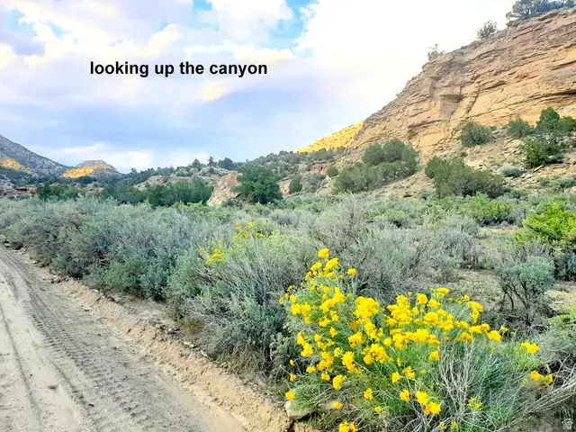 3366 Thompson Canyon Rd N #B, Thompson, UT 84540 - #1
