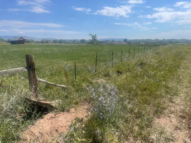 8450 N State Road 121 W, Neola, UT 84053 - #3