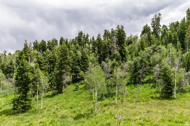 2241 S Forest Meadow Rd #158, Coalville, UT 84017 - #2