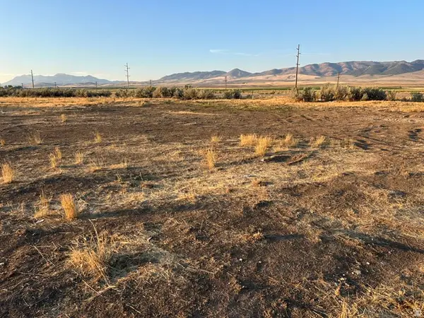 20729 Hwy 91, Downey, ID 83234