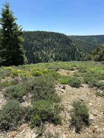 2595 N Hwy 192 #0005, Hyrum, UT 84319 - #2