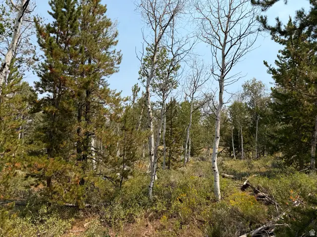 4913 Pinecrest Rd, Kamas, UT 84036 - #3