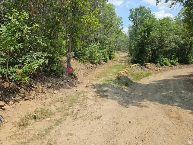 29 E Upper Birch Creek Dr S #L29, Fairview, UT 84629 - #1