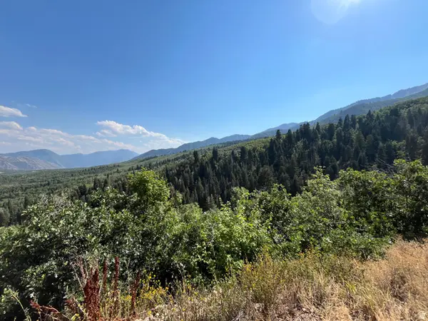 Lot 88, #88, Springville, UT 84663