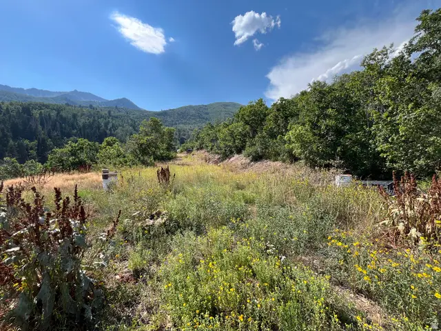 Lot 88, #88, Springville, UT 84663 - #3