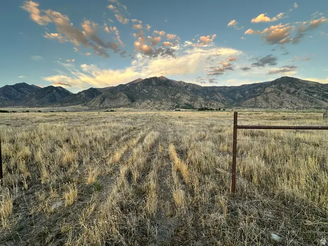 463 S 300 E, Mona, UT 84645 - #2
