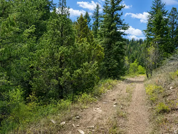 Address Withheld By Seller, Daniel, UT 84032