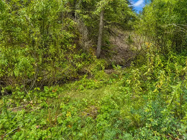 Address Withheld By Seller, Daniel, UT 84032 - #3