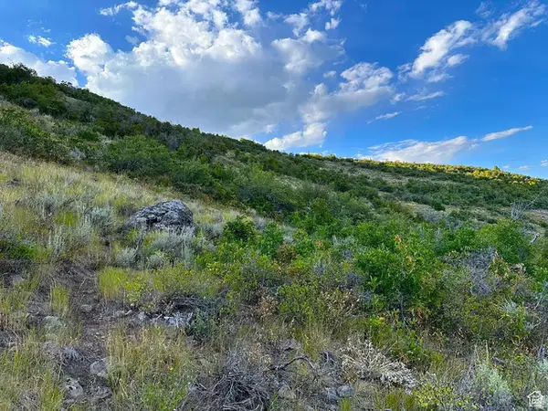 56 Aspen Hollow Rd #56, Woodland, UT 84036