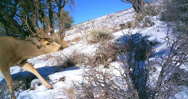 #135, Fruitland, UT 84027 - #2