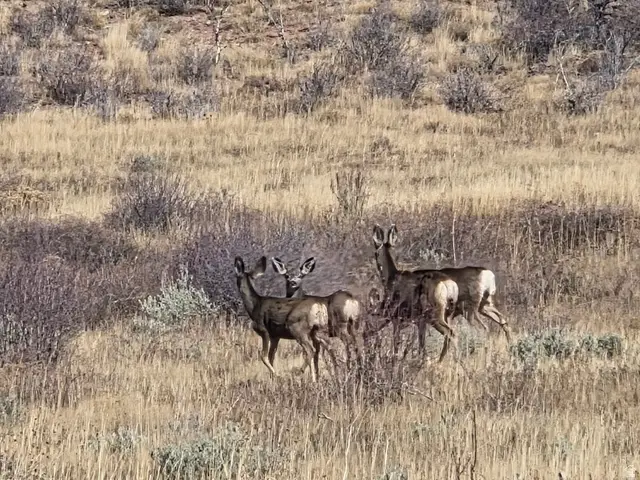 #135, Fruitland, UT 84027 - #3