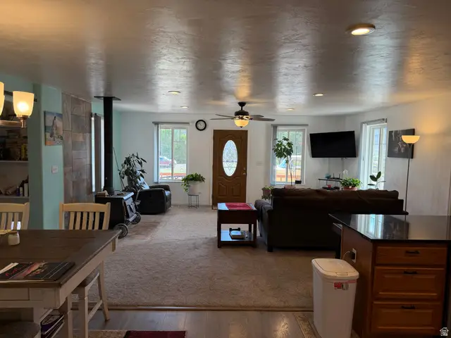 136 S 100 W, Joseph, UT 84739 - #3