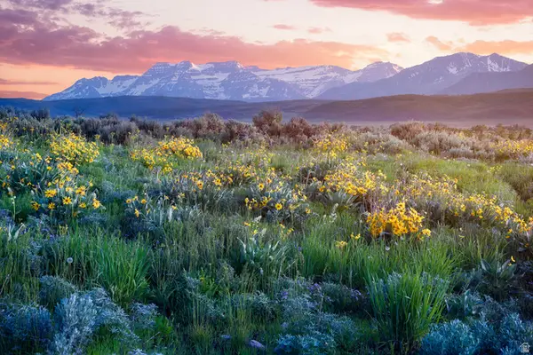 995 E Hoyt Peak Ranch Rd #3, Marion, UT 84036