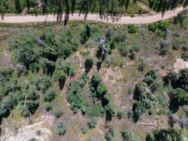 1826 W Alexander Cyn, Coalville, UT 84017 - #2