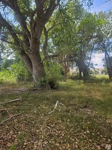 12293 W Highway 40, Duchesne, UT 84021 - #3