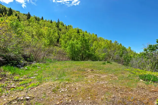 4695 S Thousand Oaks Dr, Salt Lake City, UT 84124 - #3