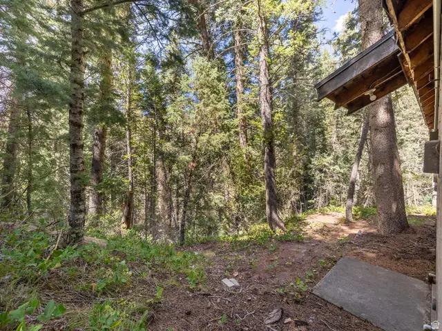 10 E Tibble N #10, American Fork, UT 84003 - #3