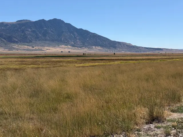 8800 W 24600 N, Portage, UT 84331 - #1