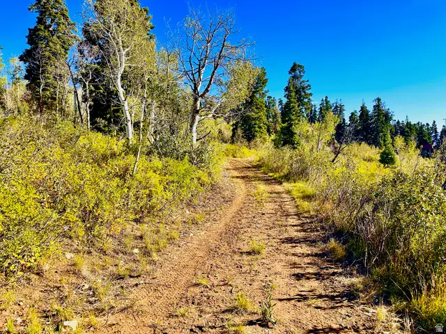 22444 Thads Peak Dr #J22, Fairview, UT 84629 - #3