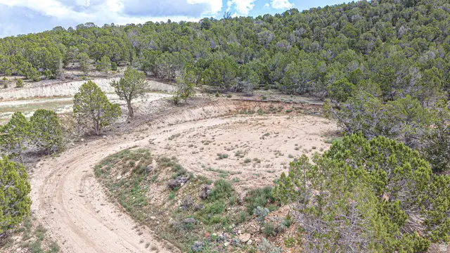 81 N Blackhawk Mtn Estates Rd #81, Indianola, UT 84629 - #2