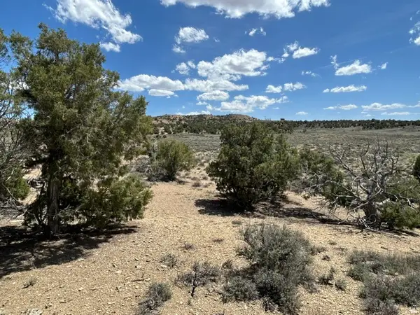Address Withheld By Seller, Duchesne, UT 84021