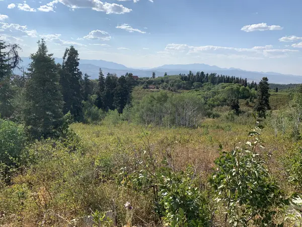 23235 N Hill Side Dr. E #G-25 +, Fairview, UT 84629