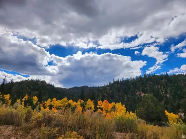 Bonnie Green Dr, Kanab, UT 84741