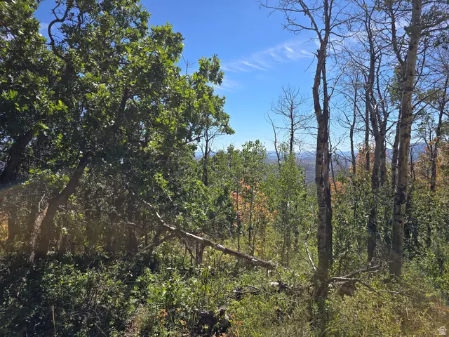 661 W Shady Ln #55, Coalville, UT 84017 - #2
