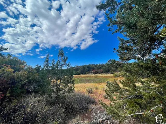 173 Cty Rd 343 Bartons Rd, Monticello, UT 84535 - #2