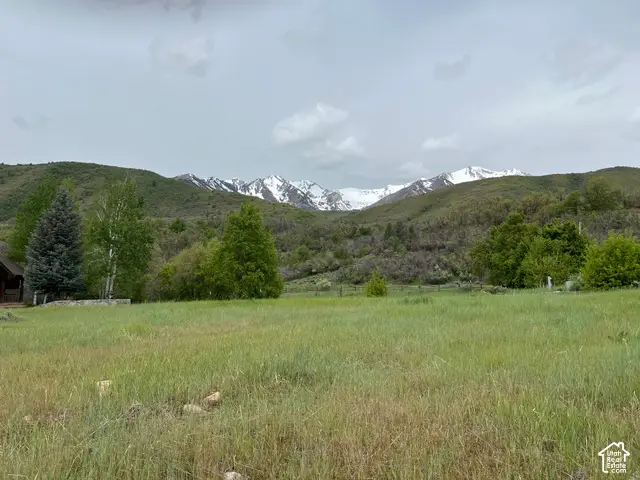 Meadow Dr #2, Springville, UT 84663 - #2