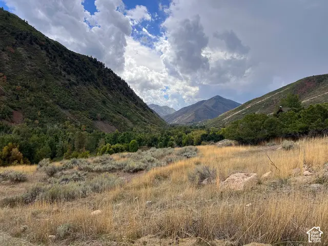 Meadow Dr #2, Springville, UT 84663 - #3