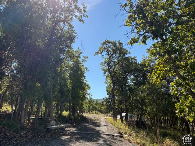 23220 N Juniper #M-41, Fairview, UT 84629 - #2