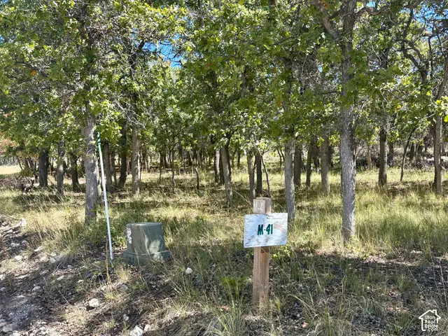 23220 N Juniper #M-41, Fairview, UT 84629 - #3