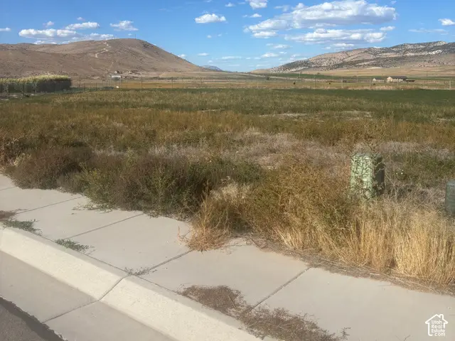 112 W 1030 N #44, Mayfield, UT 84643 - #2